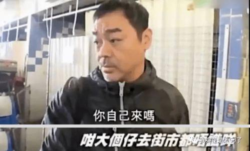 娱乐吃瓜群众明星有哪些,盘点近期热门明星动态 第3张 娱乐吃瓜群众明星有哪些,盘点近期热门明星动态 第3张