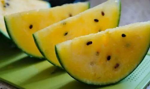 甘肃最新的瓜爆料,瓜果飘香,丰收喜讯传四方 第1张 甘肃最新的瓜爆料,瓜果飘香,丰收喜讯传四方 第1张