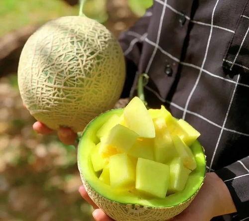 娱乐圈吃瓜壁纸高清图片,高清壁纸下的明星生活众生相  第3张