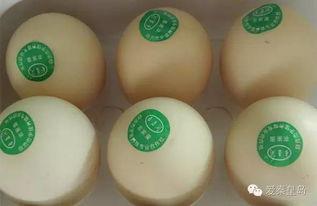 网友爆料鸡蛋视频大全,鸡蛋视频大全,揭秘烹饪技巧与美食诱惑 第1张 网友爆料鸡蛋视频大全,鸡蛋视频大全,揭秘烹饪技巧与美食诱惑 第1张